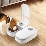 Automatic 2-in-1 Pet Feeder with Timer – Perfect Mealtime Solution for Cats and Dogs!