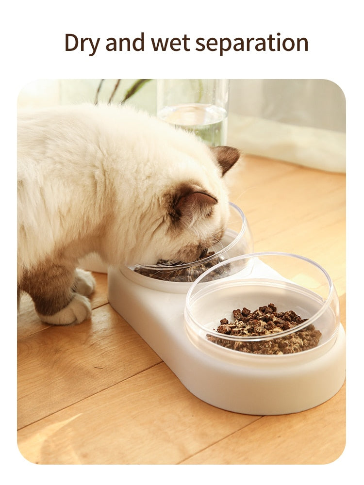 Purrfect Dining Oasis