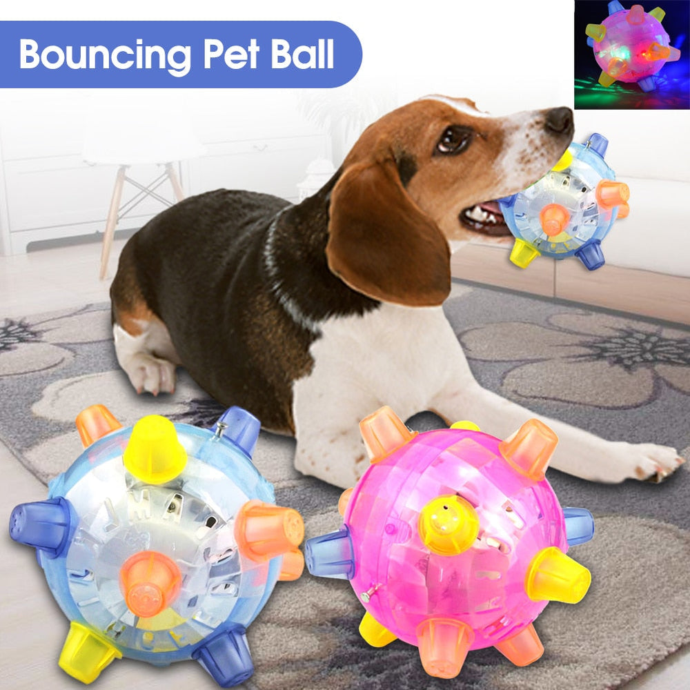 Dog's Delight Jumping Ball