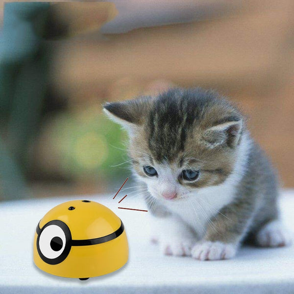 Pet Escape Toy