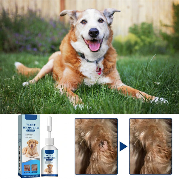 Dog Wart Remover – Gentle Natural Skin Tag & Papilloma Treatment – Sali ...