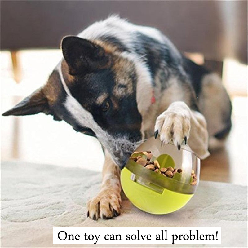 Interactive pet Toy
